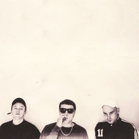 Timeless - DMA's