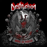 Born to Perish - Destruction