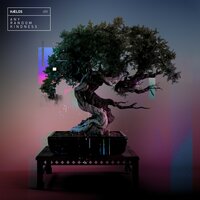Boy / Girl - HÆLOS