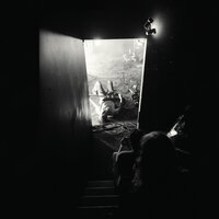 Lump Sums - Metz