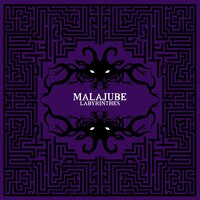Dragon de glace - Malajube