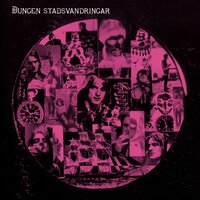 Fest - Dungen