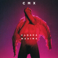 Shakti - Cmx