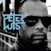 The Rain - Peter Luts
