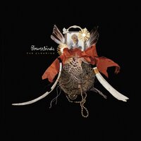 Hush - Bowerbirds