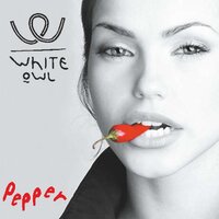 Korppi - White Owl