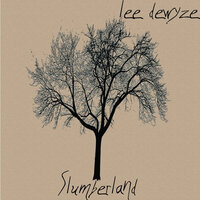 Princess - Lee DeWyze