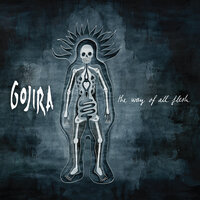 Vacuity - Gojira