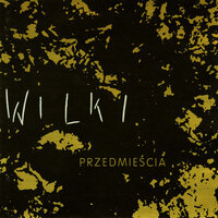 Crazy Summer - Wilki