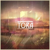 Calming Her - Tora