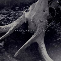 The Hardest Part Is Forgetting Those You Swore You Would Never Forget - Being As An Ocean