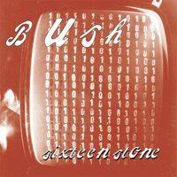 Monkey - Bush