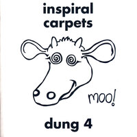 Causeway - Inspiral Carpets