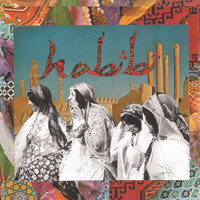 Detroit Baby - Habibi