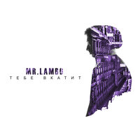 Плед - Mr Lambo