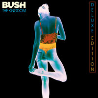 Falling Away - Bush