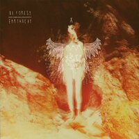 Lost Boy - Be Forest