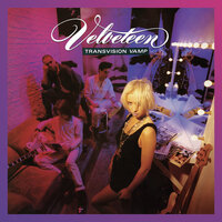 W11 Blues - Transvision Vamp