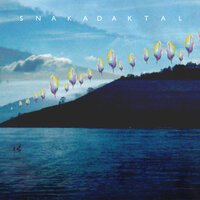 Air - Snakadaktal