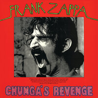 Twenty Small Cigars - Frank Zappa