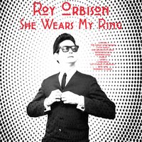 Let's Make a Memory - Roy Orbison