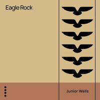 Hoodoo Man - Junior Wells