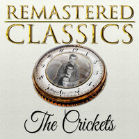 Last Night - The Crickets