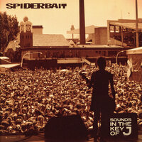 Conjunctivitis - Spiderbait