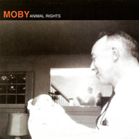 Face It - Moby
