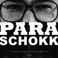 Степь - SCHOKK