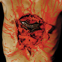 Case # Obscene - Dismember