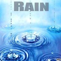 Thunderstorm - Rain