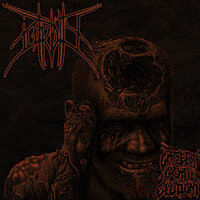 Fermented Entrails - Putridity