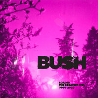 This Is War - Bush