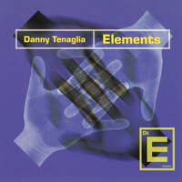 Elements - Danny Tenaglia
