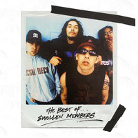 Concerto - Swollen Members, Madchild