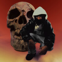 CRUEL WORLD - $NOT