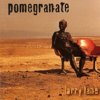 Necessary Evil - Pomegranate