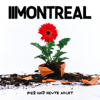 Malaria und Heimweh - Montreal