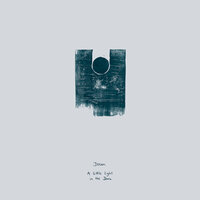 Marigold - Dotan