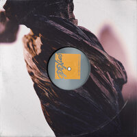 Chicken - Pixies
