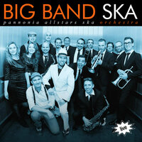 System connection - Pannonia Allstars Ska Orchestra