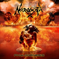 Persuasive Memory - Necrodeath