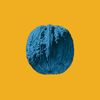 Luna nera - Brunori SAS