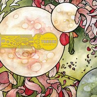 Bring Me Home - Torche