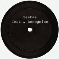 Test & Recognise (Flume Re-work) - Seekae, Flume