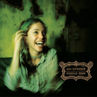 Studying Stones - Ani DiFranco