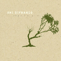 Decree - Ani DiFranco