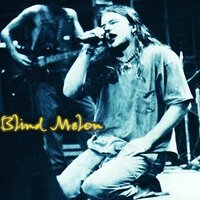 Skinned - Blind Melon
