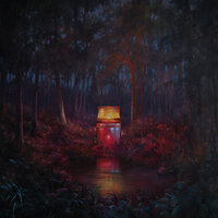 Looking Back - Lord Huron